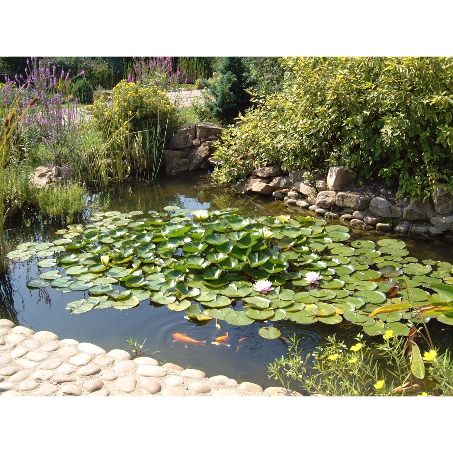 0.5mm PVC Pond Liner 2m x 2.5m