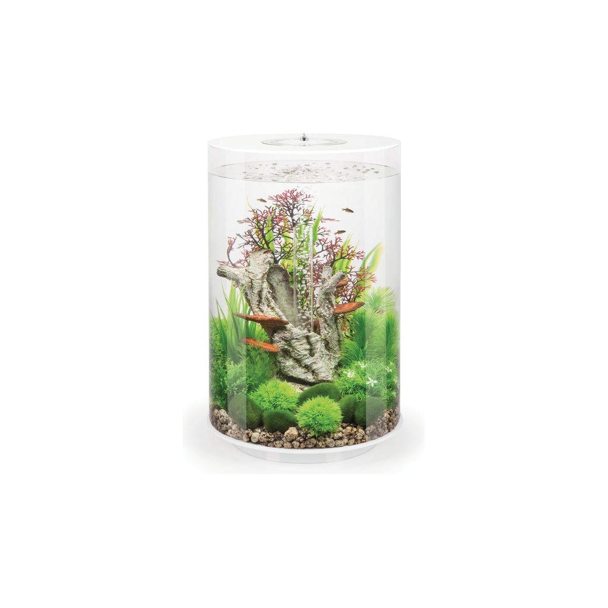 biOrb Tube 30 Litre MCR Aquarium