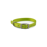 Ancol Viva Dog Collar