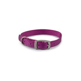 Ancol Viva Dog Collar